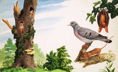 The Dead Tree by John Rignall
