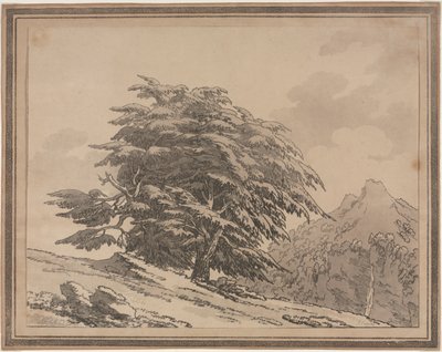 Delineations of the General Character Ramifications and Foliage of Forest Trees: Cedar by John Robert Cozens