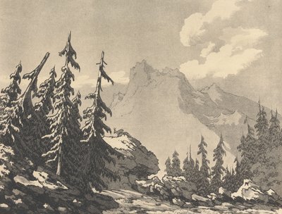 Spruce Fir by John Robert Cozens