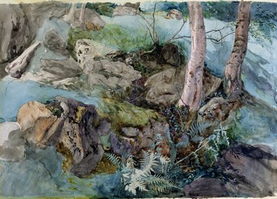 Study of Rocks and Ferns in a Wood at Crossmount, Perthshire, 1843 by John Ruskin