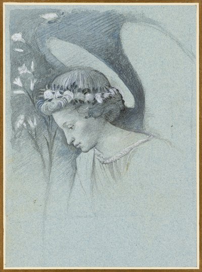 Study of the Head of the Angel Gabriel in Filippo Lippi