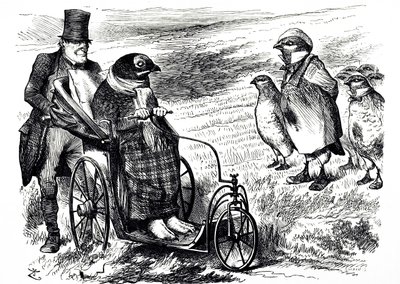 A Cartoon Commenting on the Suspension of Grouse Shooting to Allow the Stock to Rebuild. Illustrated by John Tenniel (1820-1914) an English Illustrator, Graphic Humourist, and Political Cartoonist by John Tenniel