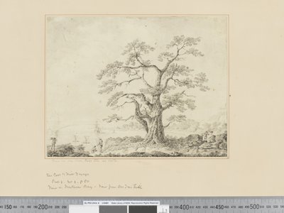 View on Sea Shore, Large Tree in Centre by John Webber