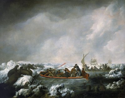 HMS 