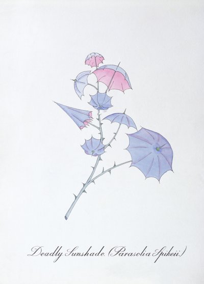 Deadly Sunshade, Illustration from 