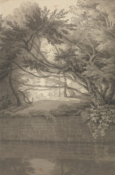 Trees Overhanging a Lake by John White Abbott