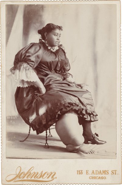 Portrait of a Woman, c. 1890 by Johnson