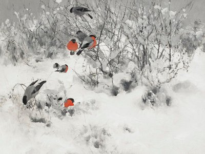 Red Bullfinches In Snow by Jolly and Dash