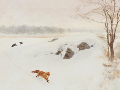 Red Fox Winter Pursuit by Jolly and Dash