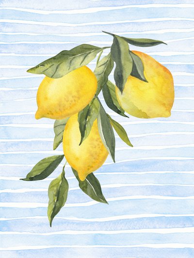 Sunny Citrus On Blue by Jolly and Dash