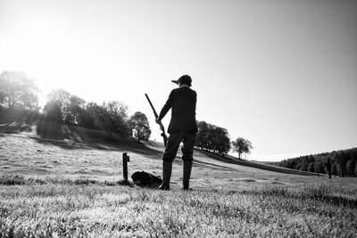The Goodwood Estate in West Sussex, UK, 2019 by Jon Nicholson