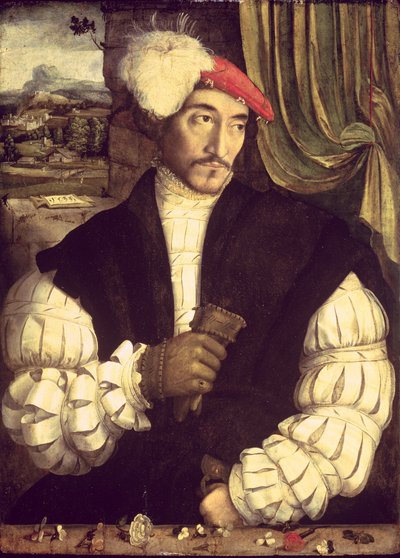 Portrait of a Man, 1533 by Jorg I Breu