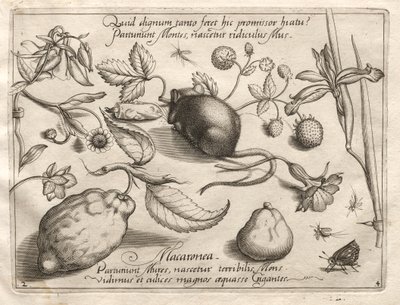 Archetypes and Studies: What Can Emerge in Keeping with Such a Cavernous Promise by Joris Hoefnagel