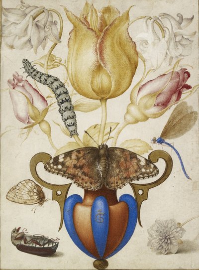 Arrangement of Flowers in a Vase, with Insects, 1594 by Joris Hoefnagel