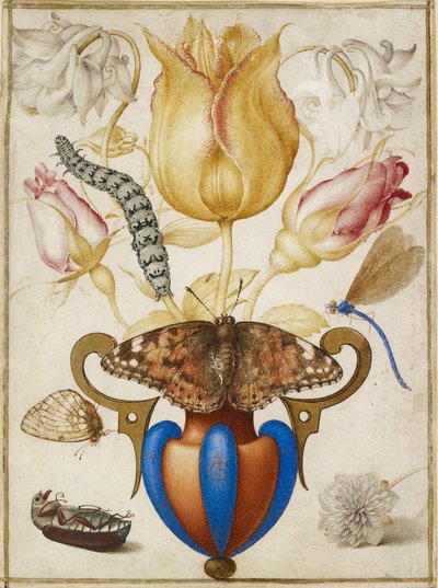 Arrangement of Flowers in a Vase, with Insects, 1594 by Joris Hoefnagel