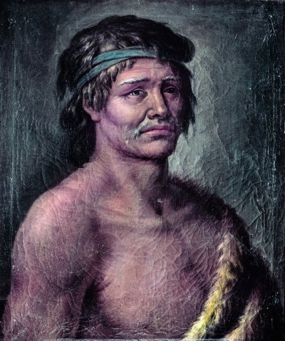 Portrait of an Indian from Patagonia, Drawing Made During the Expedition of Alessandro Malaspina in South America, c. 1791 by José del Pozo