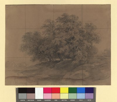 Group of Trees - with Enlargement Grid by Josef Kriehuber