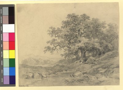 Landscape Study by Josef Kriehuber