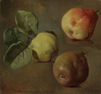 Quince by Josef Matěj Navrátil