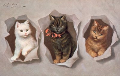 Cat Postcard by Josef Sperlich