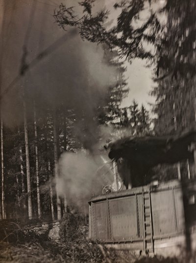 A mortar Morser in action by Josef Zohles