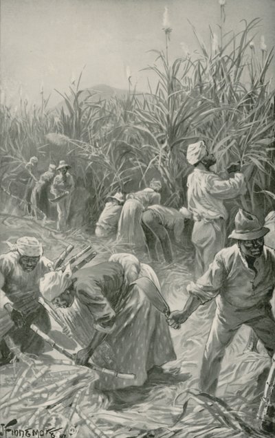 Black at Work in a Sugar-Cane Plantation in Jamaica by Joseph (after) Finnemore