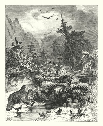 Search After God by Joseph (after) Wolf