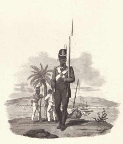 A Private of the 5th West India Regiment, c1812 by Joseph Constantine Stadler
