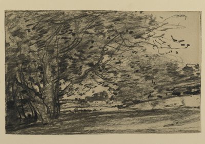 Study of Trees, 1870 by Joseph Frank Currier