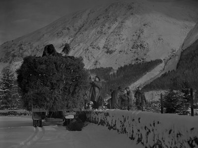 Lorry filled with Christmas trees making its way down a snowy road by Joseph Hardman