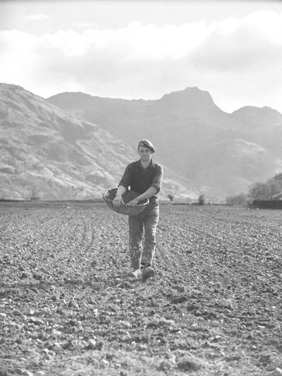Man sowing seed from swill basket with Langdales behind by Joseph Hardman