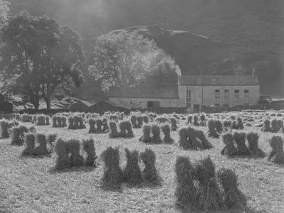 Stooks of corn in foreground with farmhouse in background by Joseph Hardman