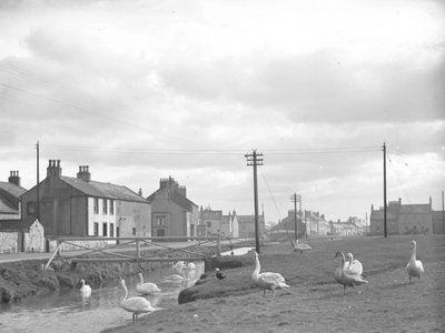 Street at Allonby with swans and stream by Joseph Hardman
