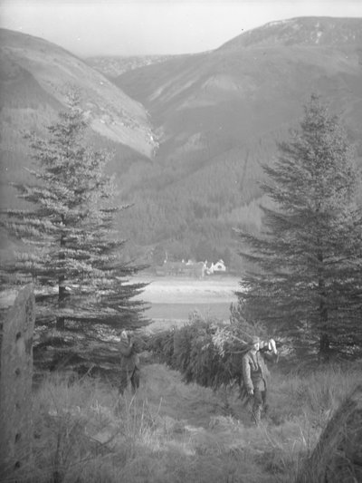 Two men carrying a Christmas tree with view behind by Joseph Hardman