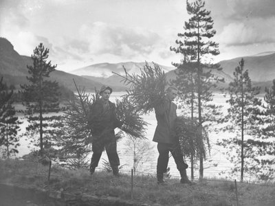 Two young men carrying small Christmas trees on shore of Thirlmere by Joseph Hardman