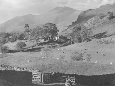 View across fields to farm at Thirlmere with sheep and cows by Joseph Hardman
