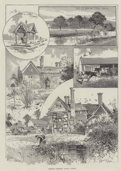 Rambling Sketches, Ockley, Surrey by Joseph Holland Tringham