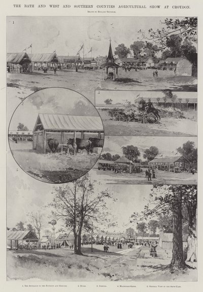 The Bath and the West and Southern Counties Agricultural Show at Croydon by Joseph Holland Tringham
