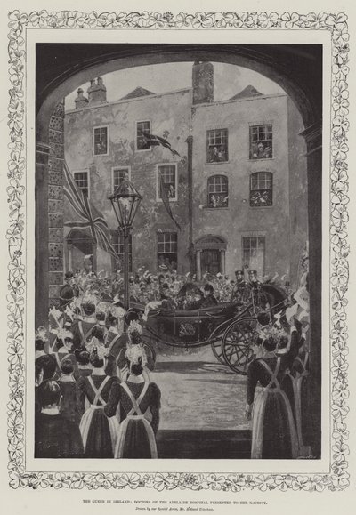 The Queen in Ireland, Doctors of the Adelaide Hospital Presented to Her Majesty by Joseph Holland Tringham