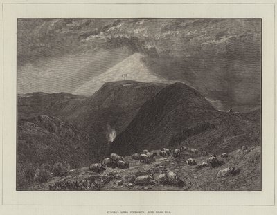 Turner