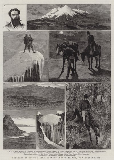 Exploration in the King Country, North Island, New Zealand, III by Joseph Nash