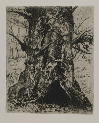 Untitled--Tree Trunk by Joseph Stella