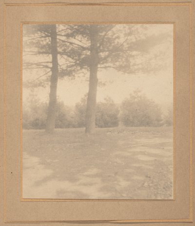 Landscape with Trees by Joseph T. Keiley