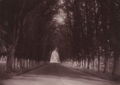 Allée, Château de Grand-Vaux, Savigny-sur-Orge, the Family Home of Vigier, c. 1855 by Joseph Vigier