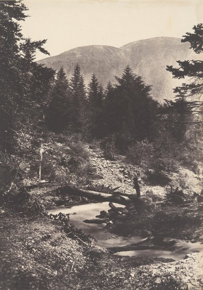 Torrent de la cascade des Demoiselles, Bagnères de Luchon, 1853 by Joseph Vigier