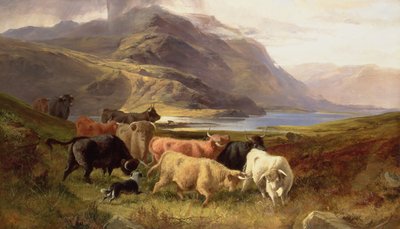 Highland Cattle with a Collie by Joseph and Adam, Joseph Denovan Adam