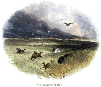 Prairie on Fire, from Phenomena of Nature by Josiah Wood Whymper