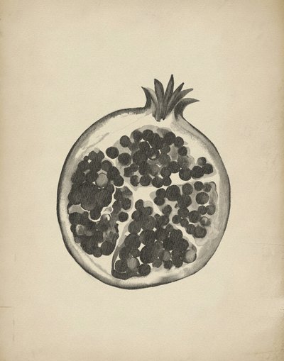 Cut Pomegranate by Josie George