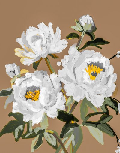 White Peony Blossoms by Josie George