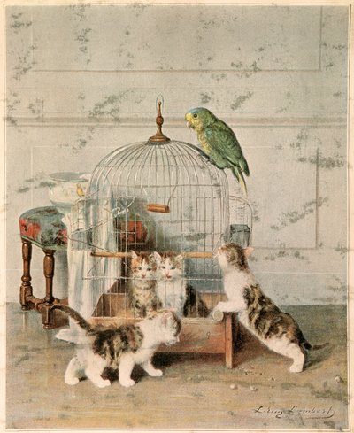 Kittens by Josse Photo